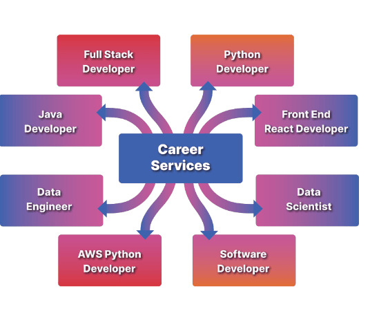 Career path