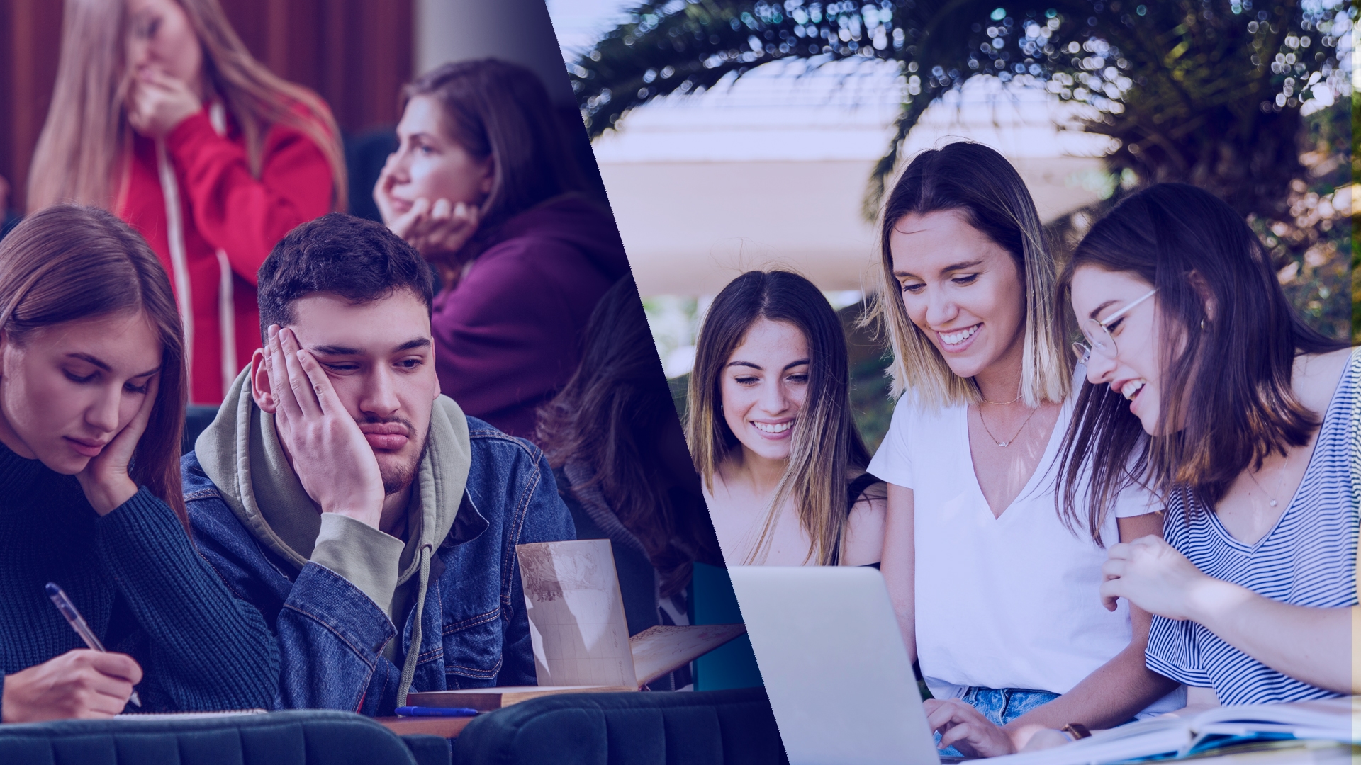 Why Technical Bootcamps are popular than formal college degree with example and statistic?